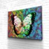Tableau Papillon - Tableau Papillon