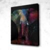 Tableau Éléphant Splash - Tableau Éléphant Splash