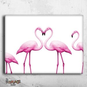 Tableau FLAMANT ROSE thepoplace