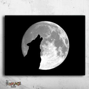 Tableau Loup Clair De Lune - Tableau Loup Clair De Lune