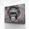 Tableau Singe Casque - Tableau Singe Casque