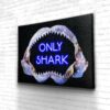 Tableau Only Shark - Tableau Only Shark