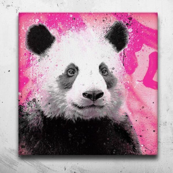 Tableau Panda Flashy - Tableau Panda Flashy