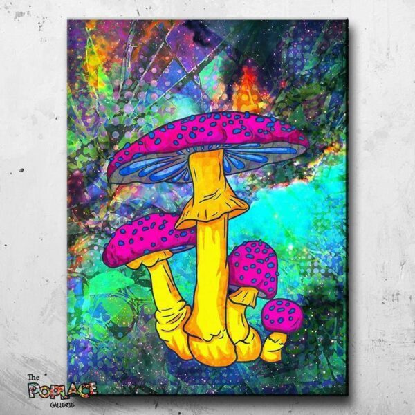 PSYCHEDELIC MUSHROOM thepoplace