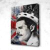 Tableau Freddie Mercury Queen Uk - Tableau Freddie Mercury Queen Uk