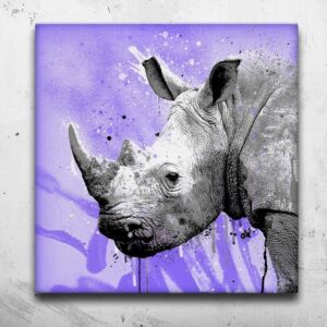 Tableau Rhinocéros Flashy - Tableau Rhinocéros Flashy